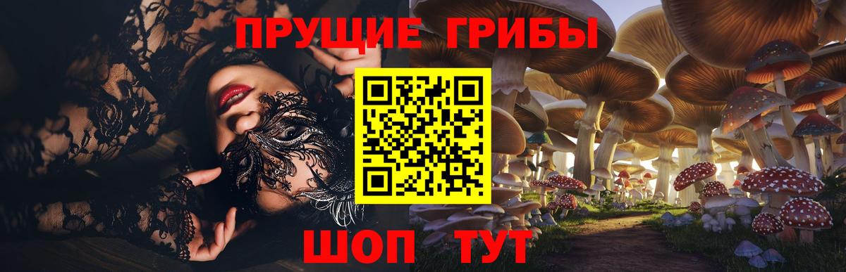 Псилоцибиновые грибы GOLDEN TEACHER  Псилоцибиновые грибы GOLDEN TEACHER  что такое   Вход с VPN  Карталы 